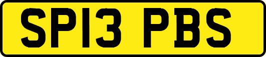 SP13PBS