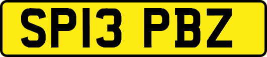 SP13PBZ