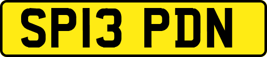 SP13PDN