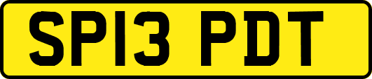SP13PDT