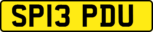 SP13PDU