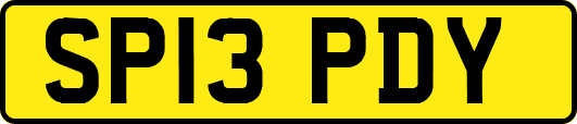 SP13PDY
