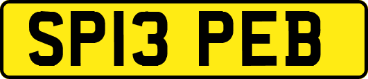 SP13PEB