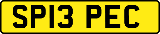SP13PEC