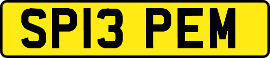 SP13PEM