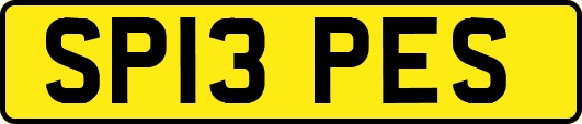 SP13PES