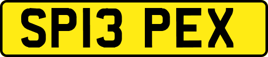 SP13PEX
