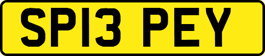 SP13PEY