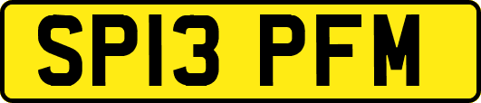 SP13PFM