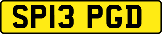 SP13PGD