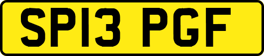 SP13PGF