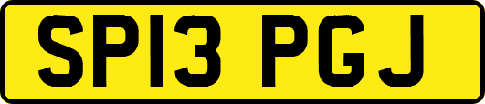 SP13PGJ