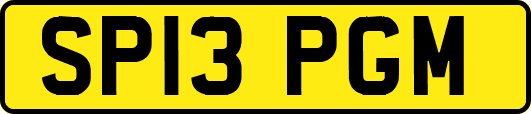 SP13PGM