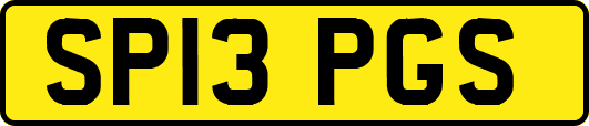 SP13PGS