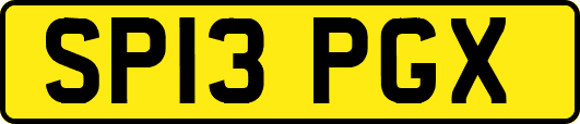 SP13PGX