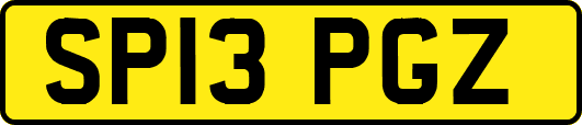SP13PGZ