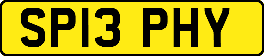 SP13PHY