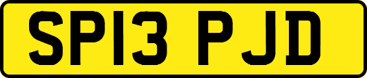 SP13PJD