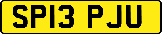 SP13PJU