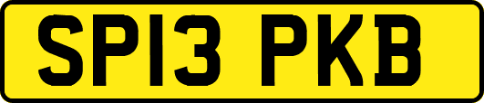 SP13PKB