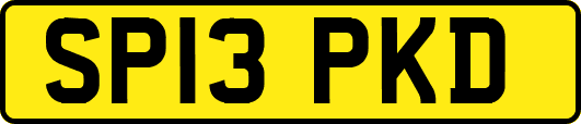 SP13PKD