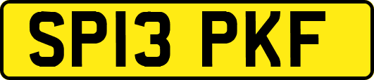 SP13PKF