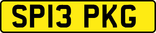 SP13PKG