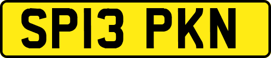 SP13PKN