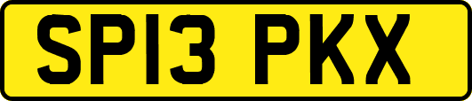 SP13PKX