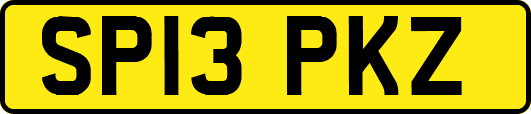 SP13PKZ