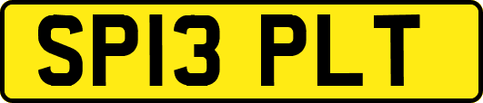 SP13PLT