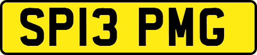 SP13PMG