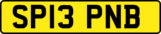 SP13PNB
