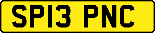 SP13PNC