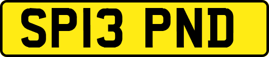 SP13PND