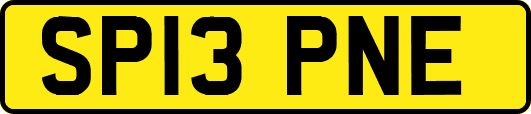 SP13PNE