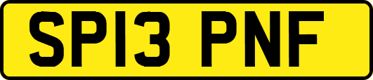 SP13PNF