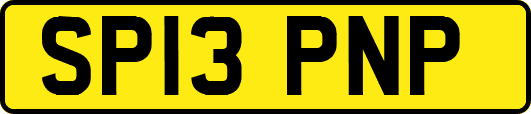 SP13PNP