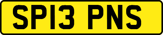 SP13PNS