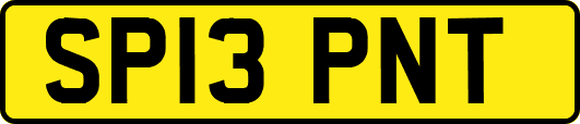 SP13PNT