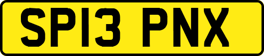 SP13PNX