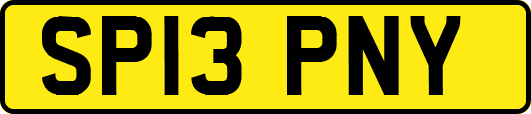 SP13PNY