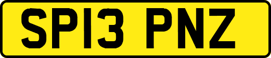 SP13PNZ