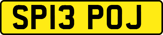 SP13POJ