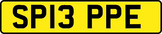 SP13PPE
