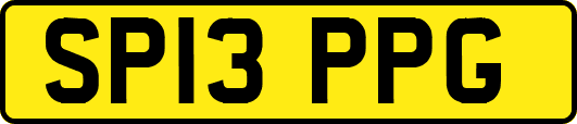 SP13PPG