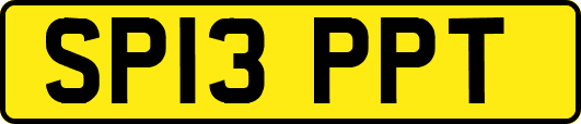 SP13PPT