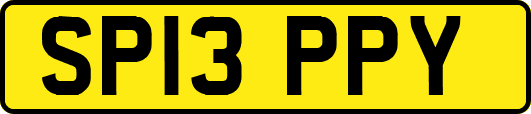 SP13PPY