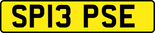 SP13PSE