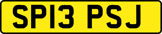 SP13PSJ
